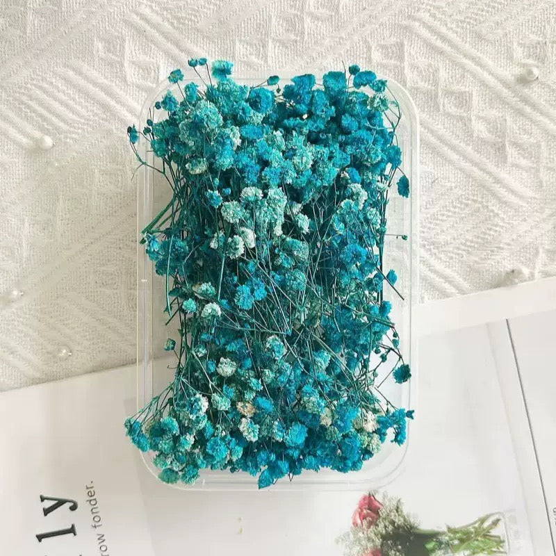 12g Baby's breath Dried Flowers