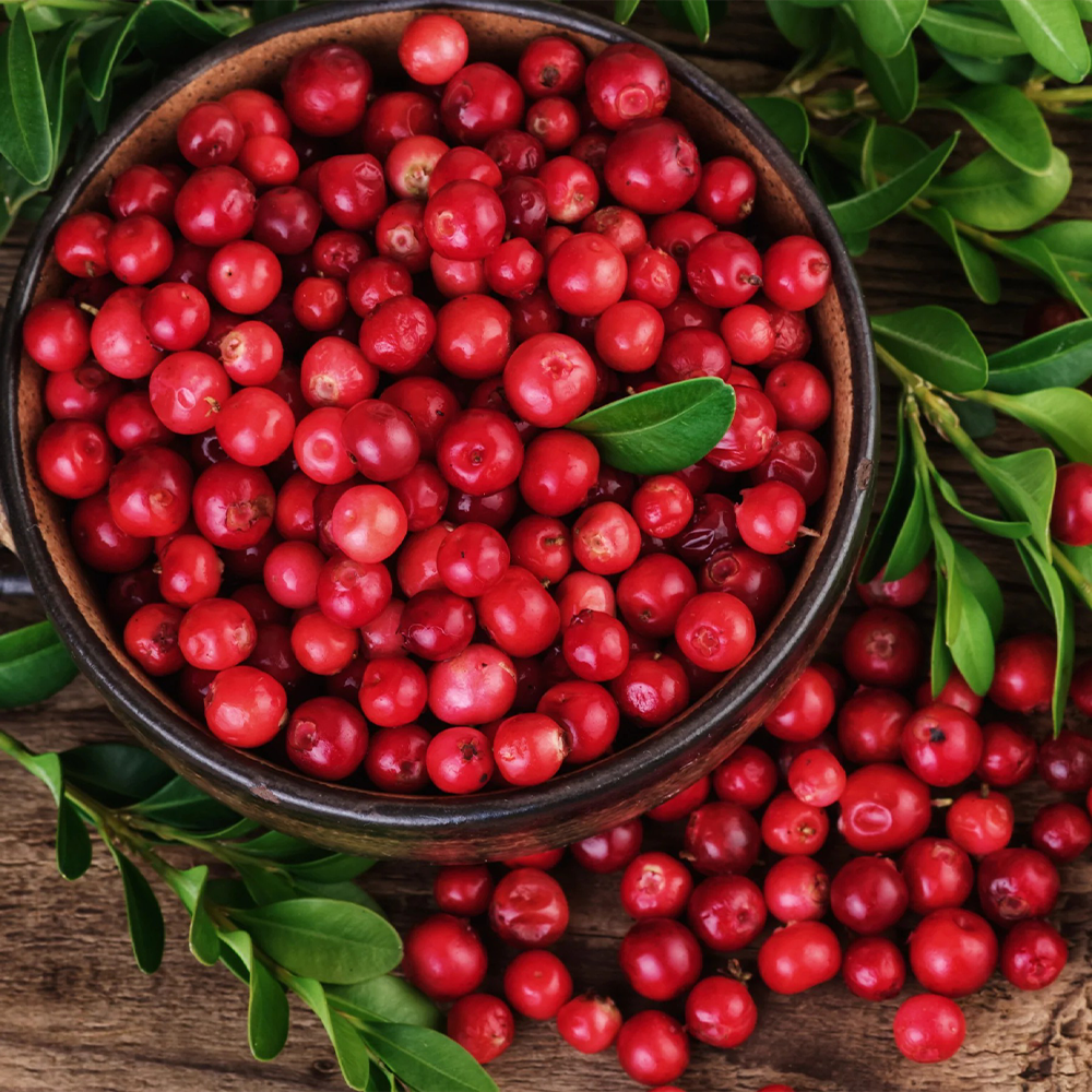 🍓Cranberry Fragrance Oil