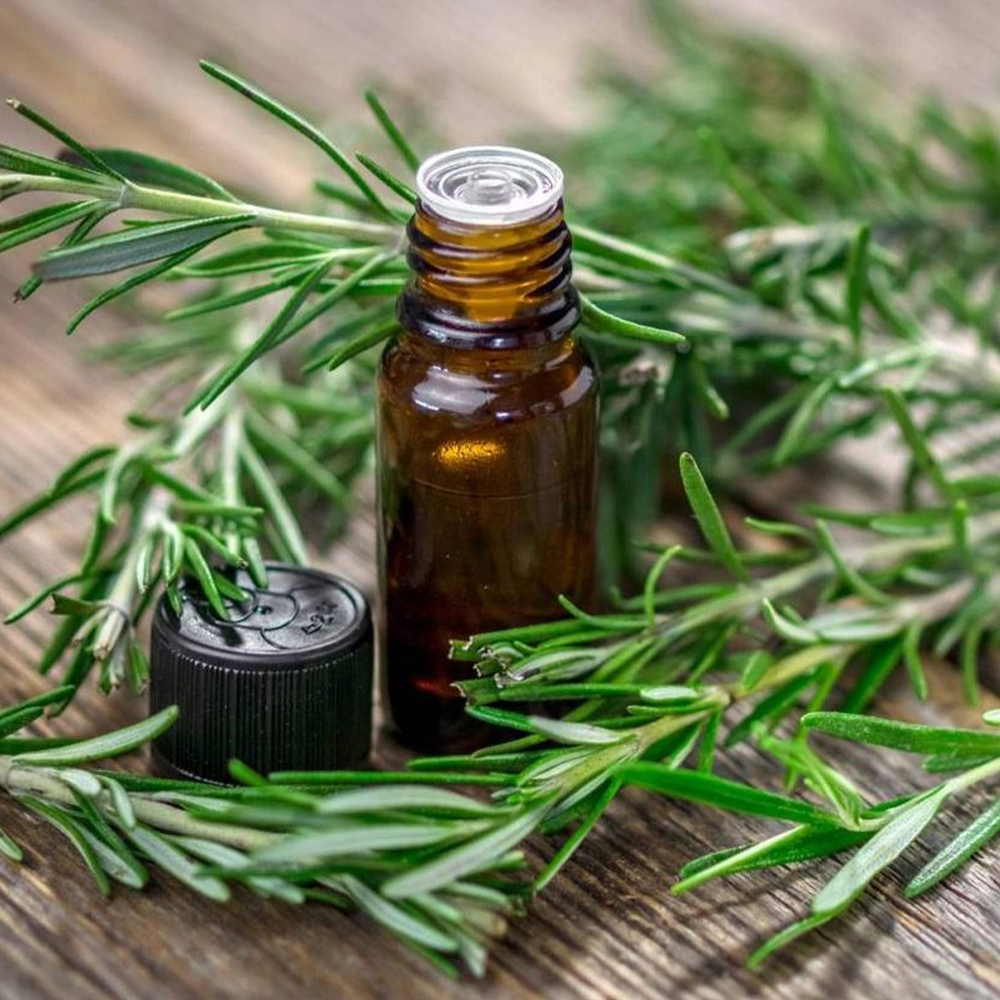 🌿 Rosemary Fragrance Oil
