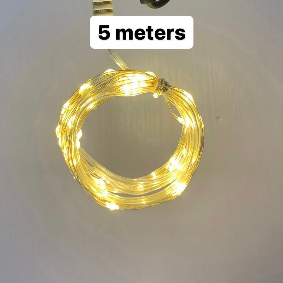 Fairy Light r011