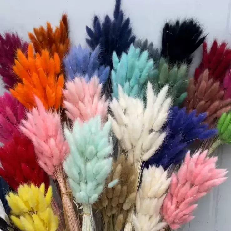 Pampas, Faux & Dried Flowers