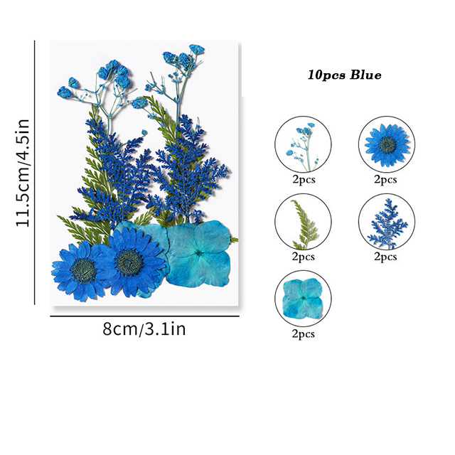 Dried Pressed Flower r05