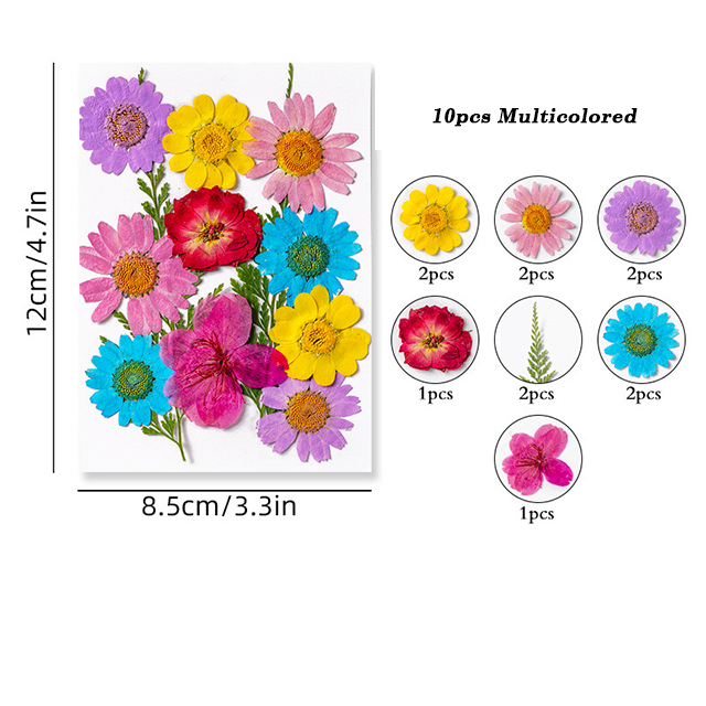 Dried Pressed Flower r05