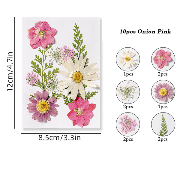 Dried Pressed Flower r05