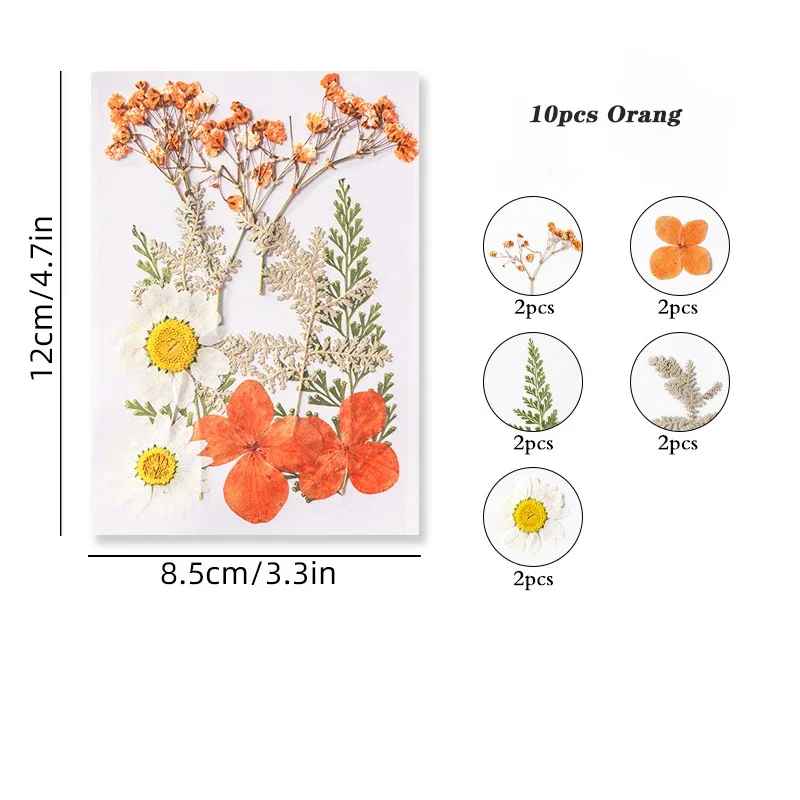 Dried Pressed Flower r05