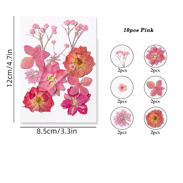 Dried Pressed Flower r05