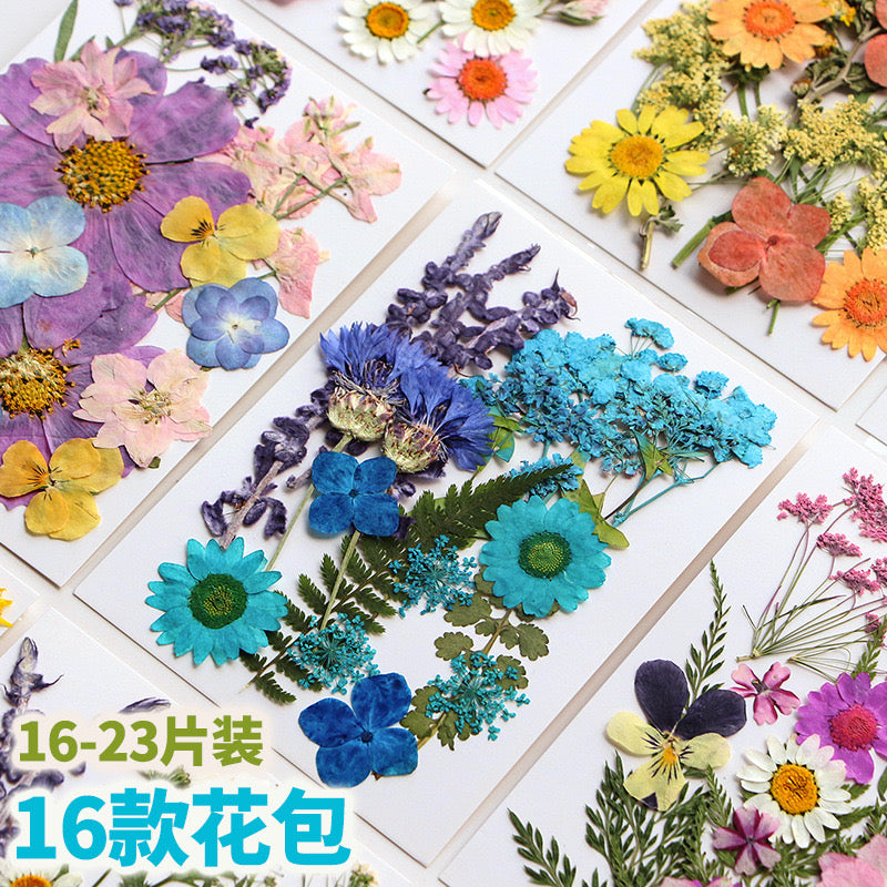 Dried Pressed Flower r05