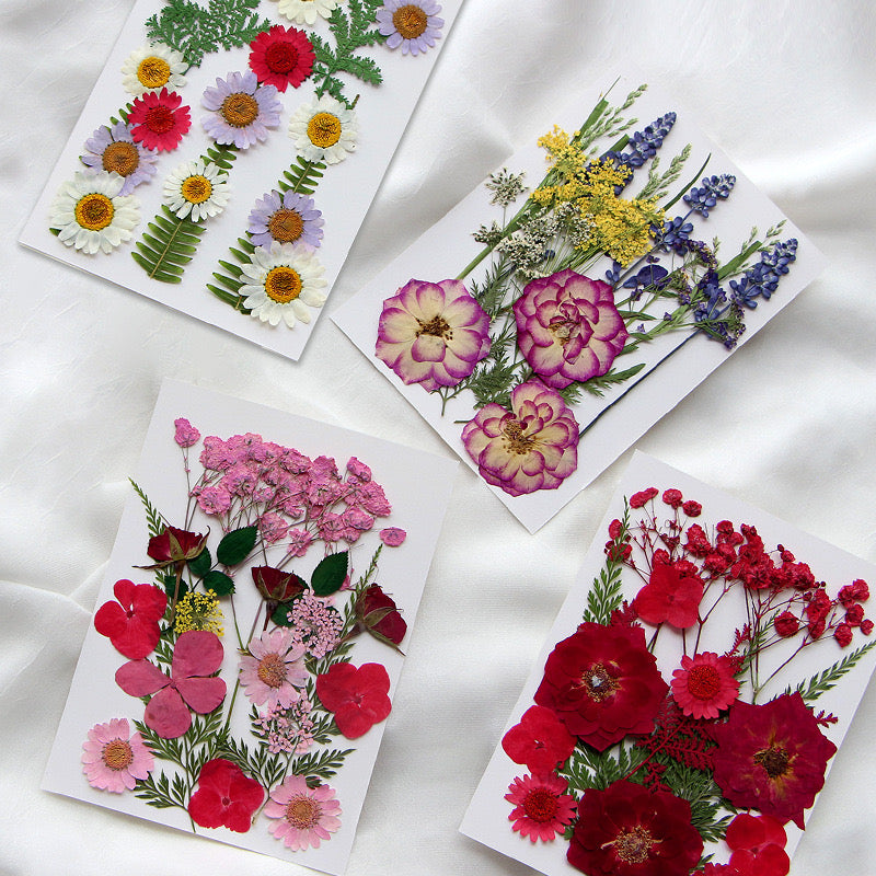 Dried Pressed Flower r05