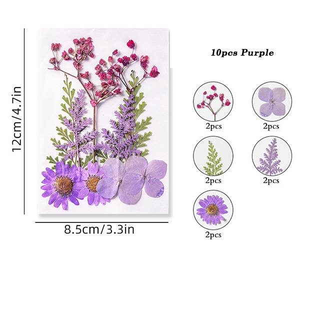 Dried Pressed Flower r05