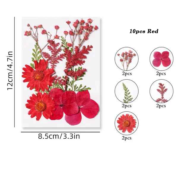 Dried Pressed Flower r05
