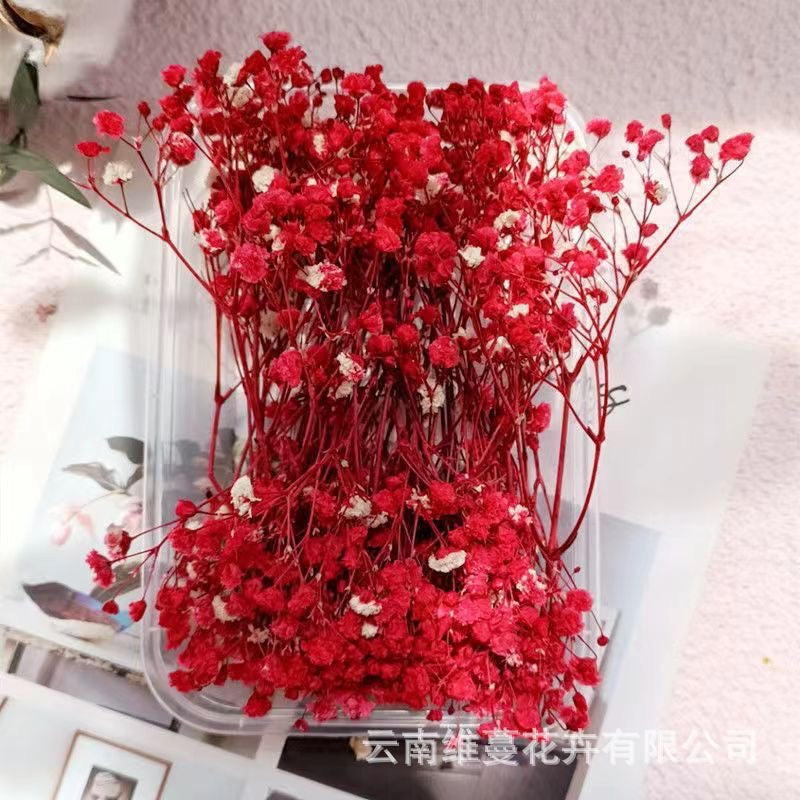 12g Baby's breath Dried Flowers