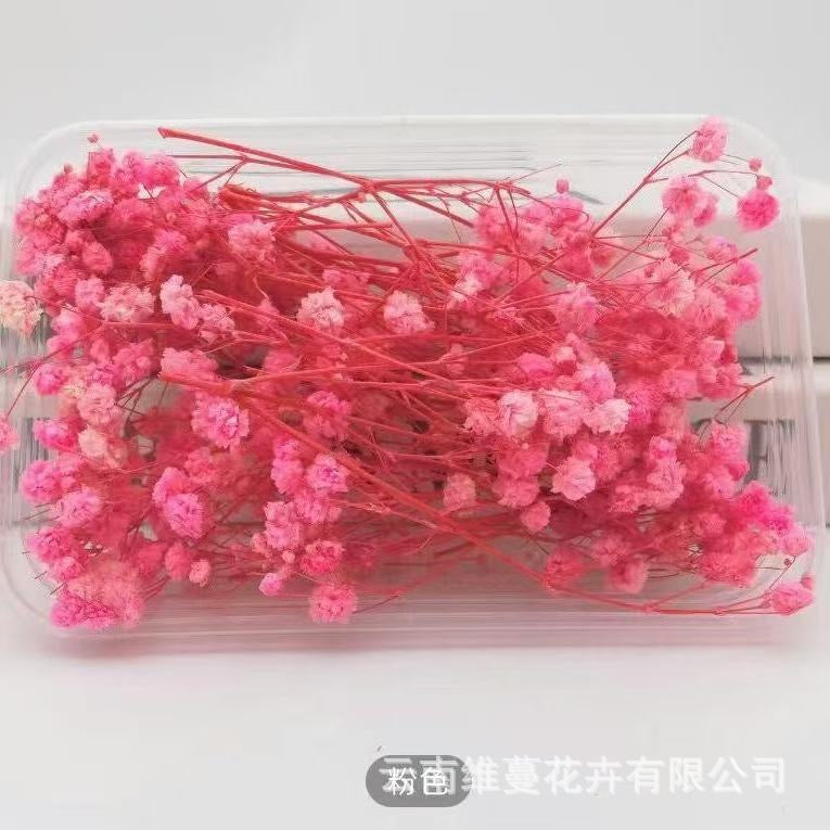 12g Baby's breath Dried Flowers