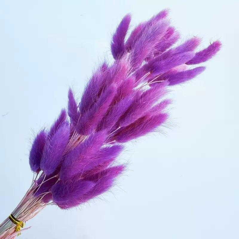 30pcs / 60pcs Bunny Grass