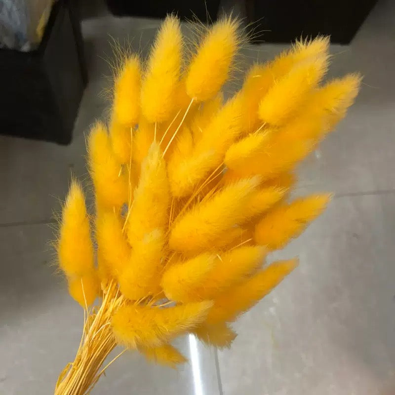 30pcs / 60pcs Bunny Grass
