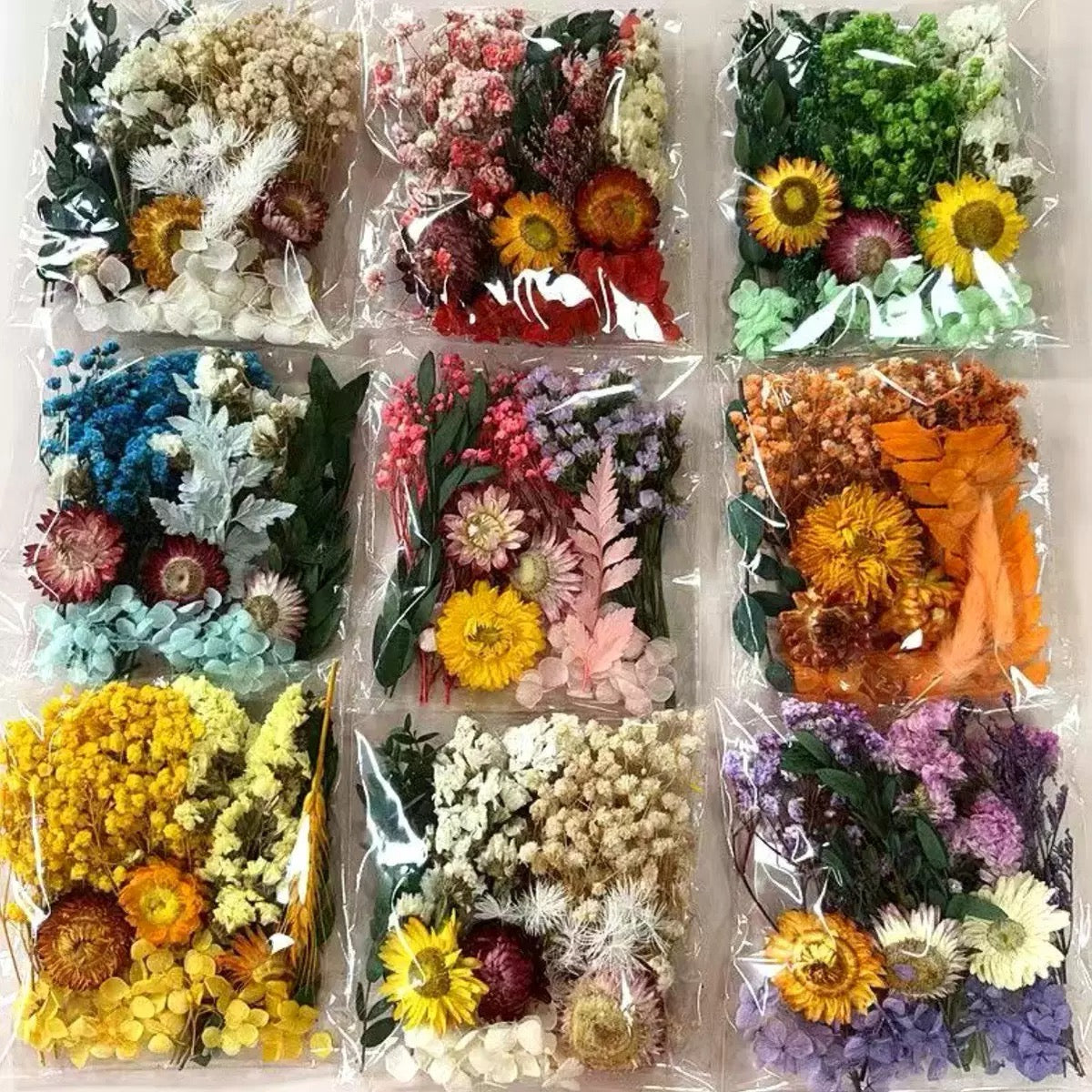 Mixed Baby's breath Dried Flowers