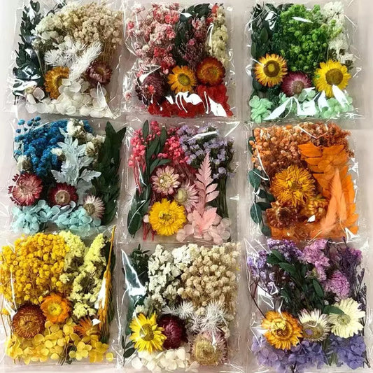 Mixed Baby's breath Dried Flowers