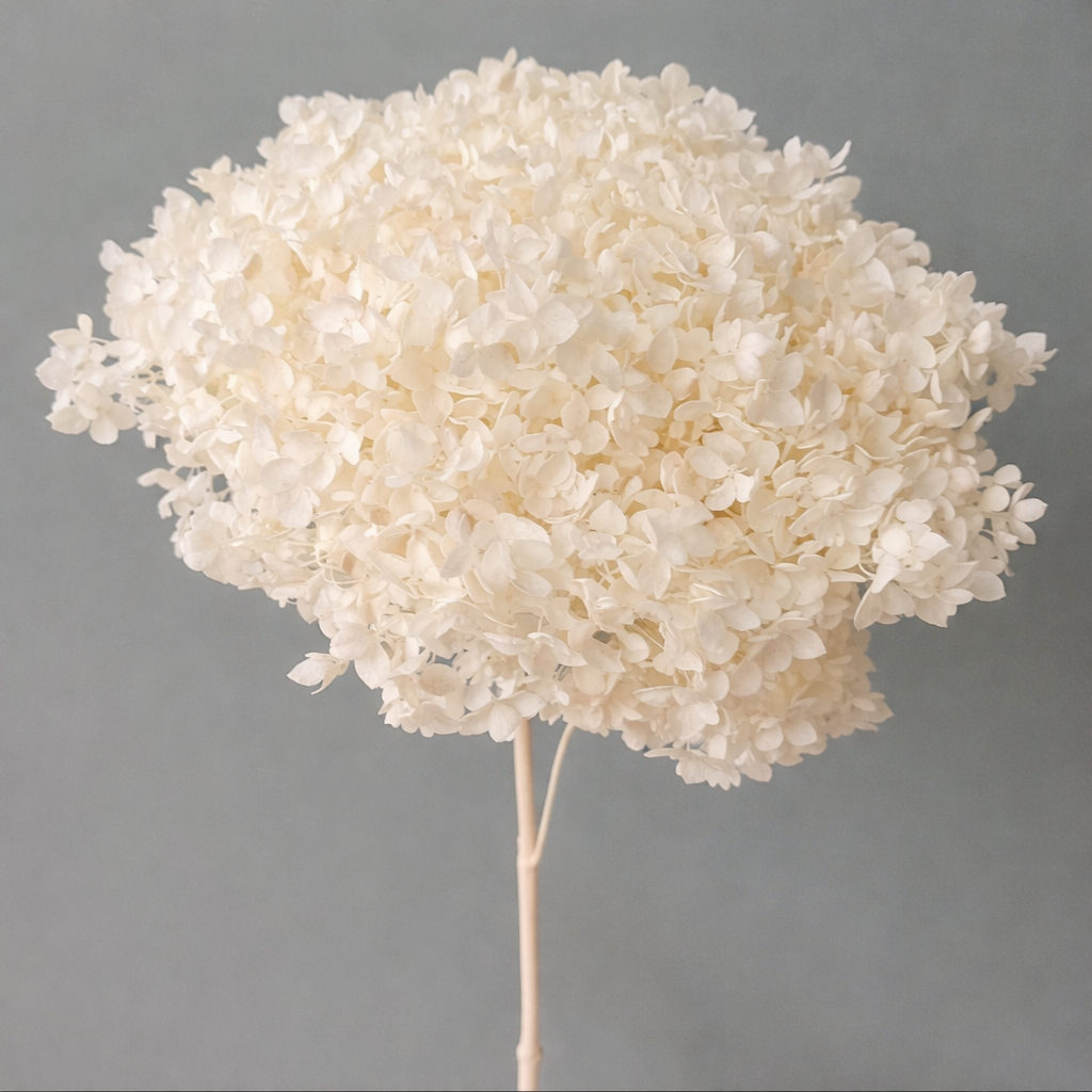 55-65cm Bouquet Dried Bulk Flowers