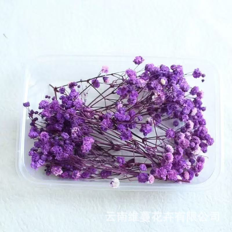 12g Baby's breath Dried Flowers