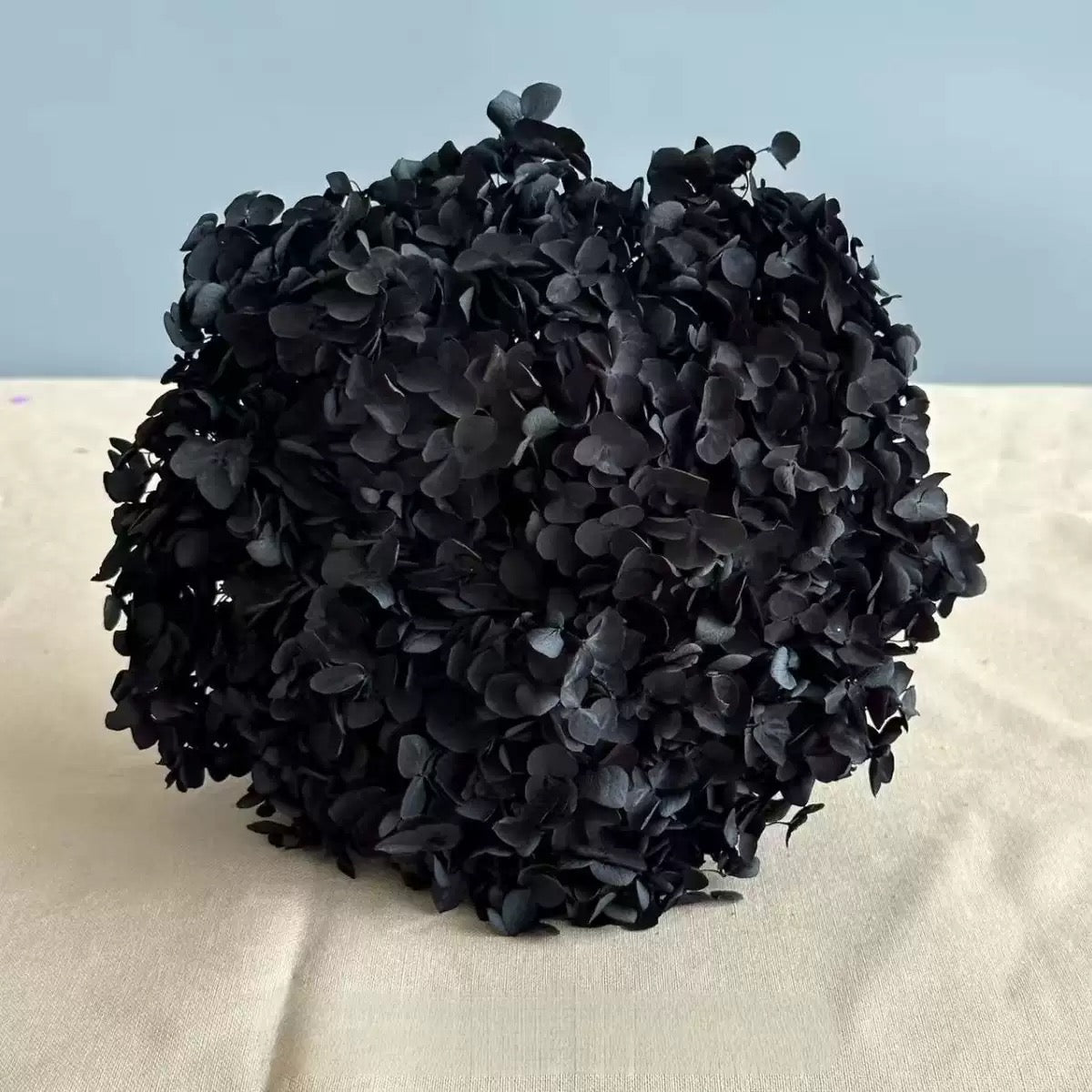 55-65cm Bouquet Dried Bulk Flowers