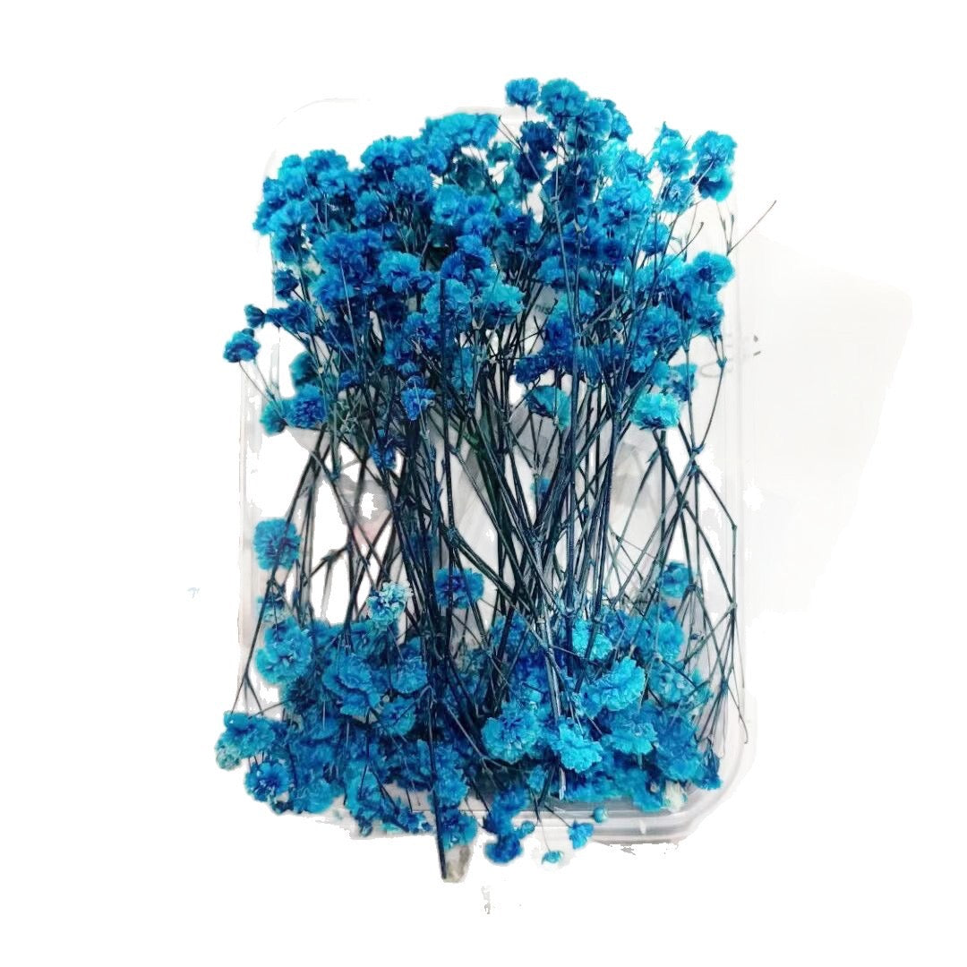 12g Baby's breath Dried Flowers