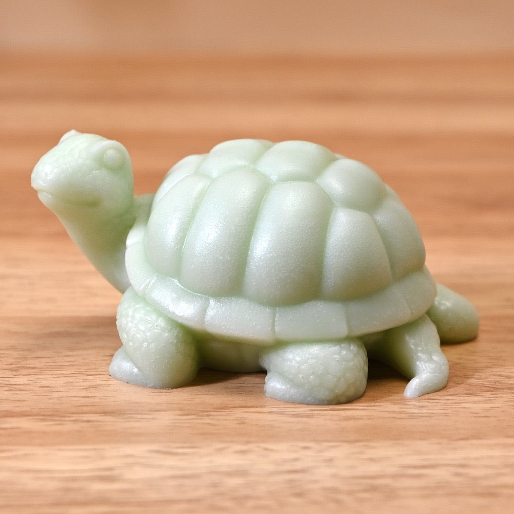 Tortoise Silicone Mold i010