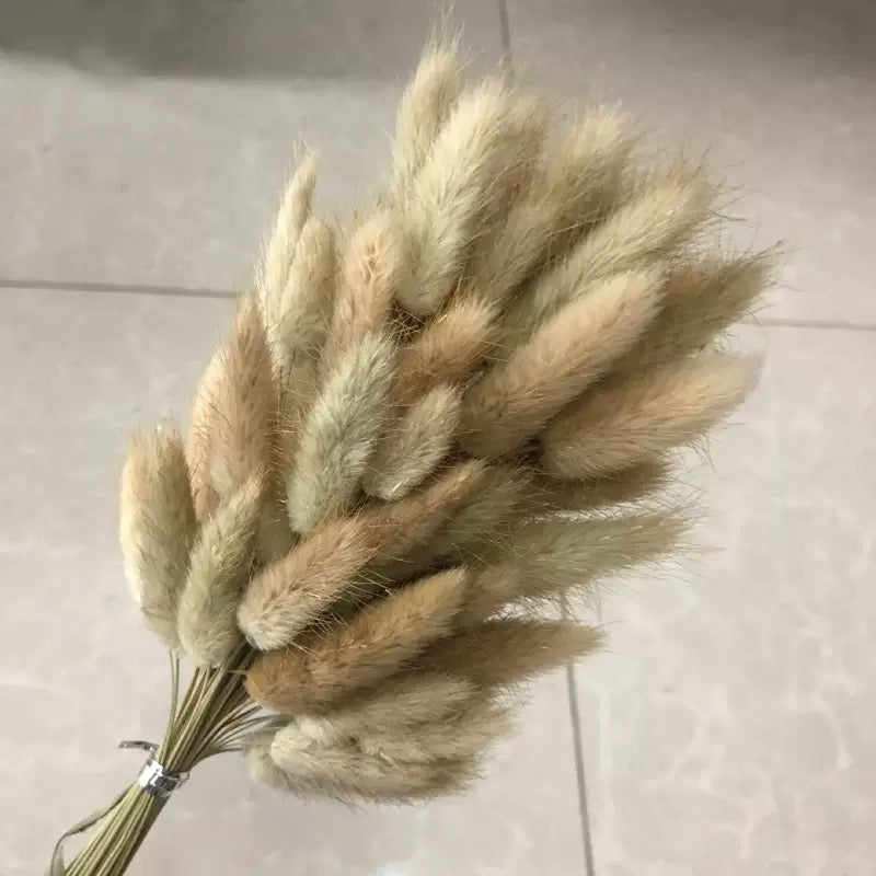 30pcs / 60pcs Bunny Grass