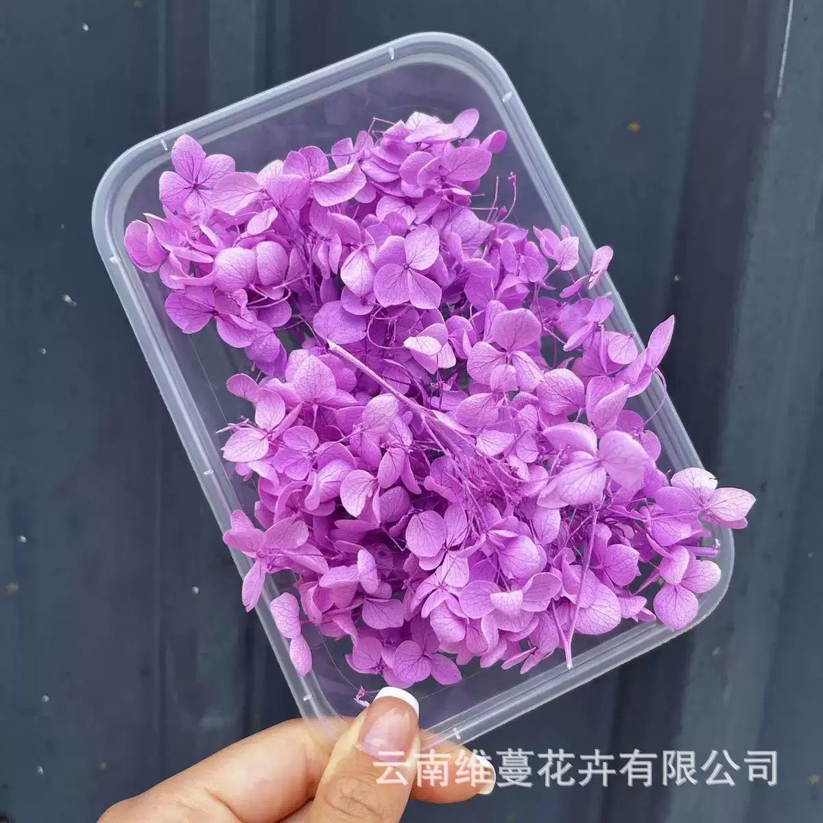 Eternal Dried Flower