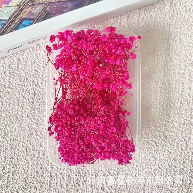 12g Baby's breath Dried Flowers