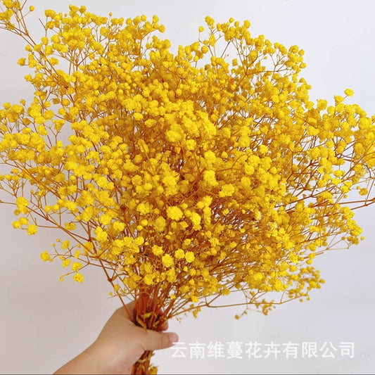75cm Baby's breath Dried Bulk Flowers