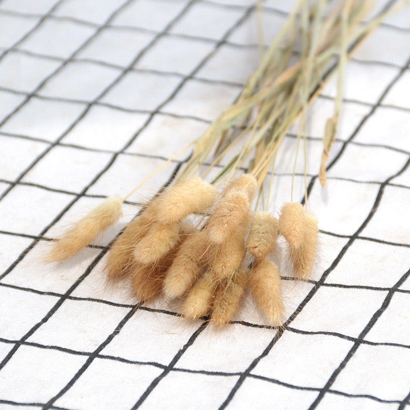 30pcs / 60pcs Bunny Grass