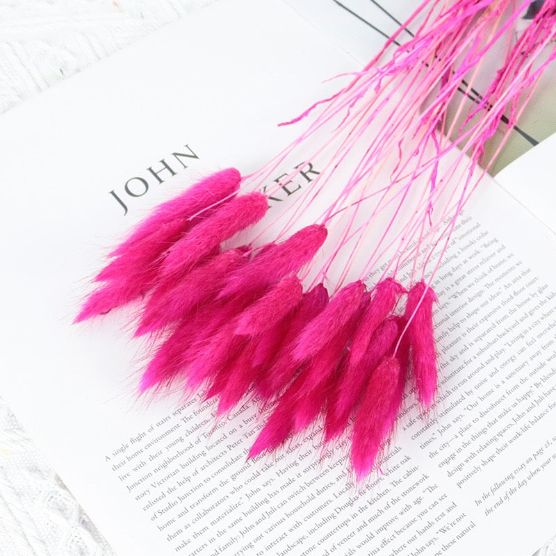 30pcs / 60pcs Bunny Grass