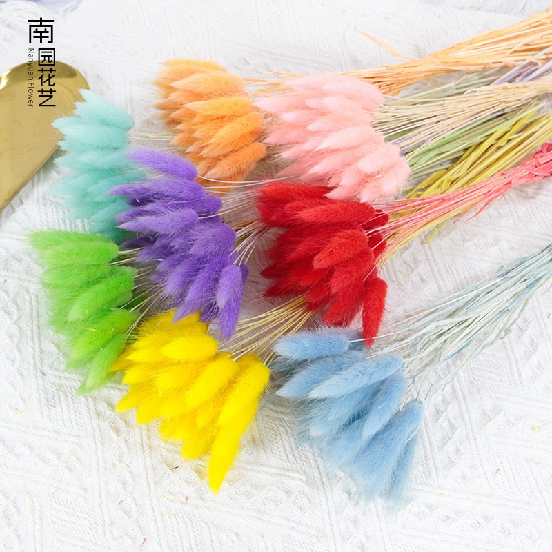 30pcs / 60pcs Bunny Grass