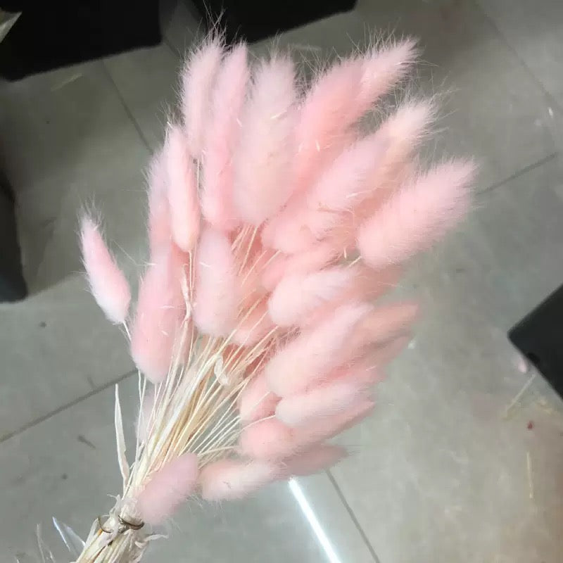30pcs / 60pcs Bunny Grass