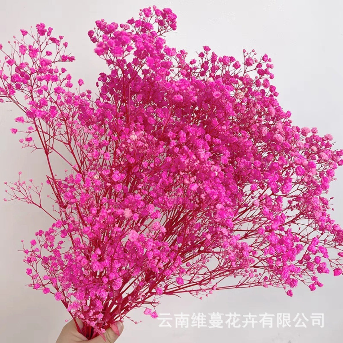 75cm Baby's breath Dried Bulk Flowers