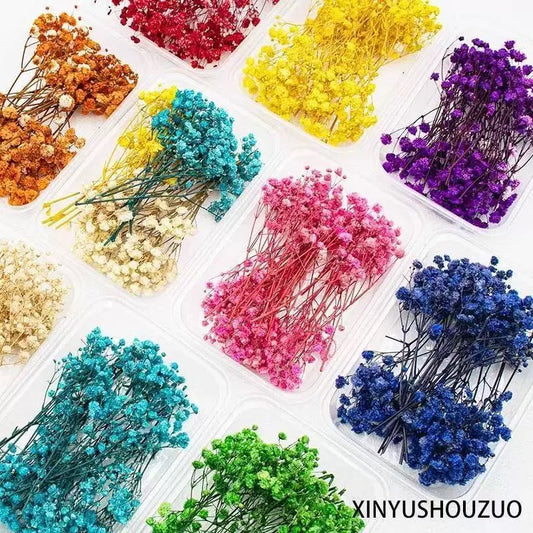 12g Baby's breath Dried Flowers
