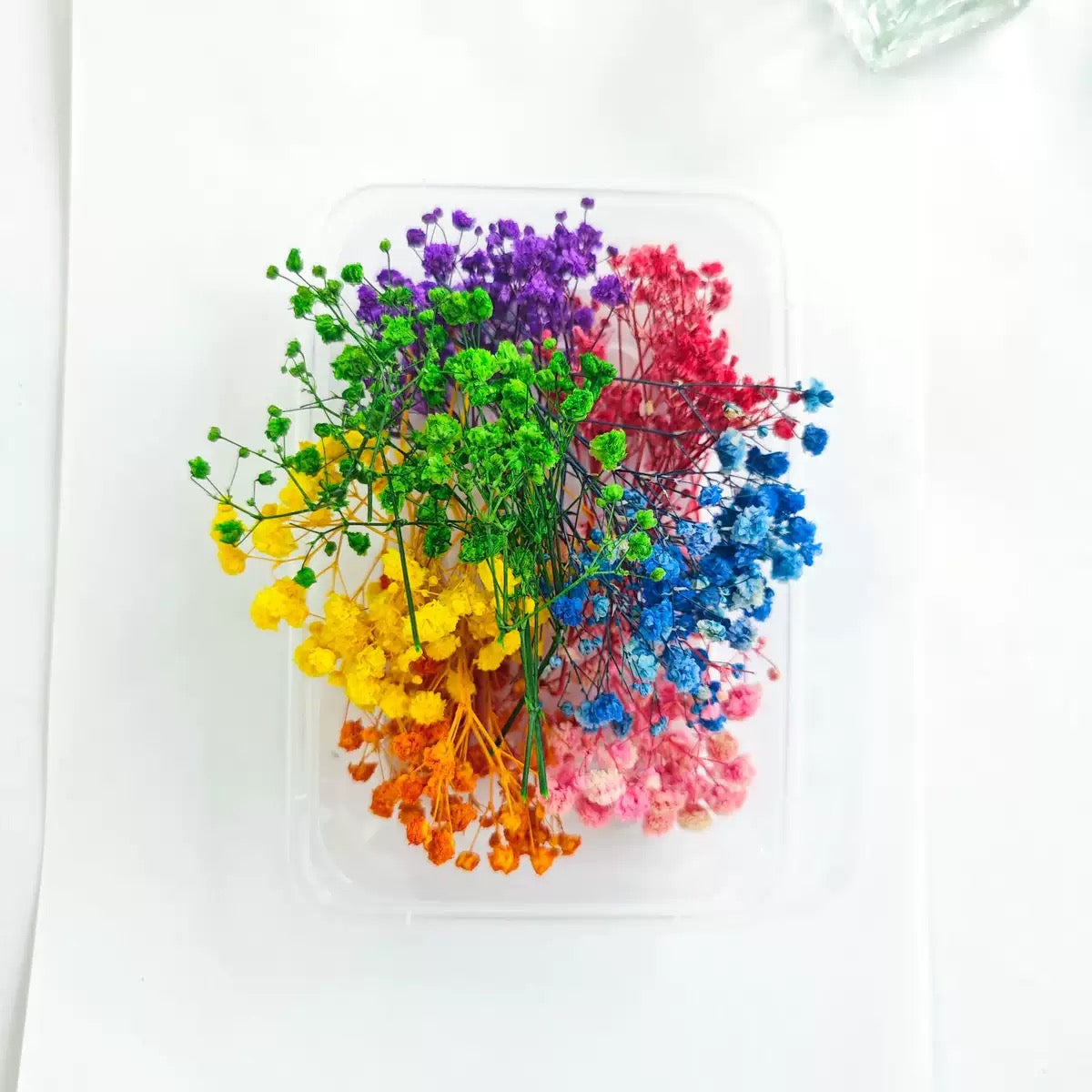 12g Baby's breath Dried Flowers