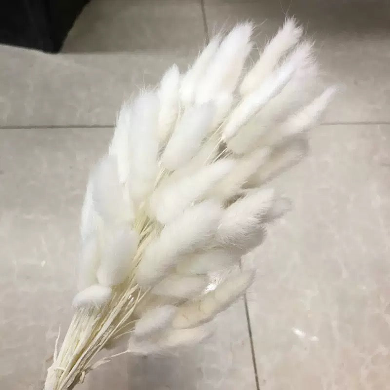 30pcs / 60pcs Bunny Grass