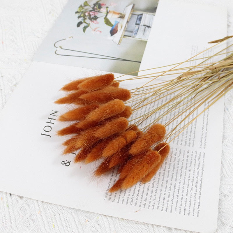 30pcs / 60pcs Bunny Grass
