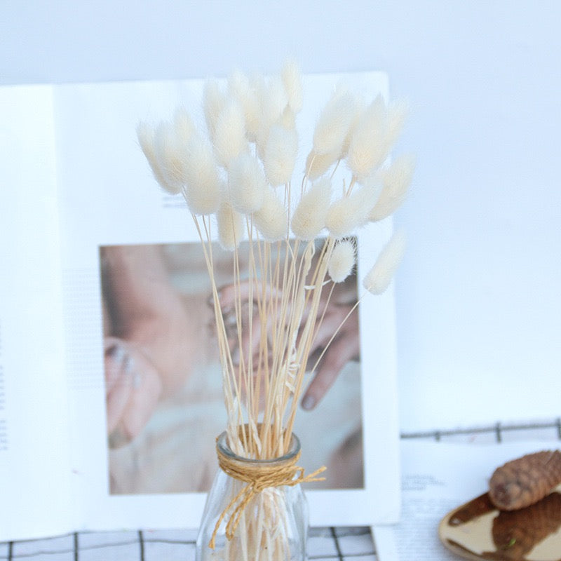 30pcs / 60pcs Bunny Grass
