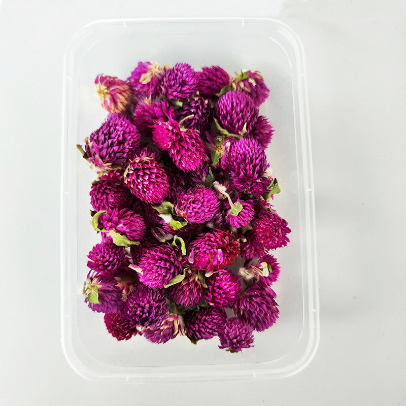 Dried/ Preserved Flowers