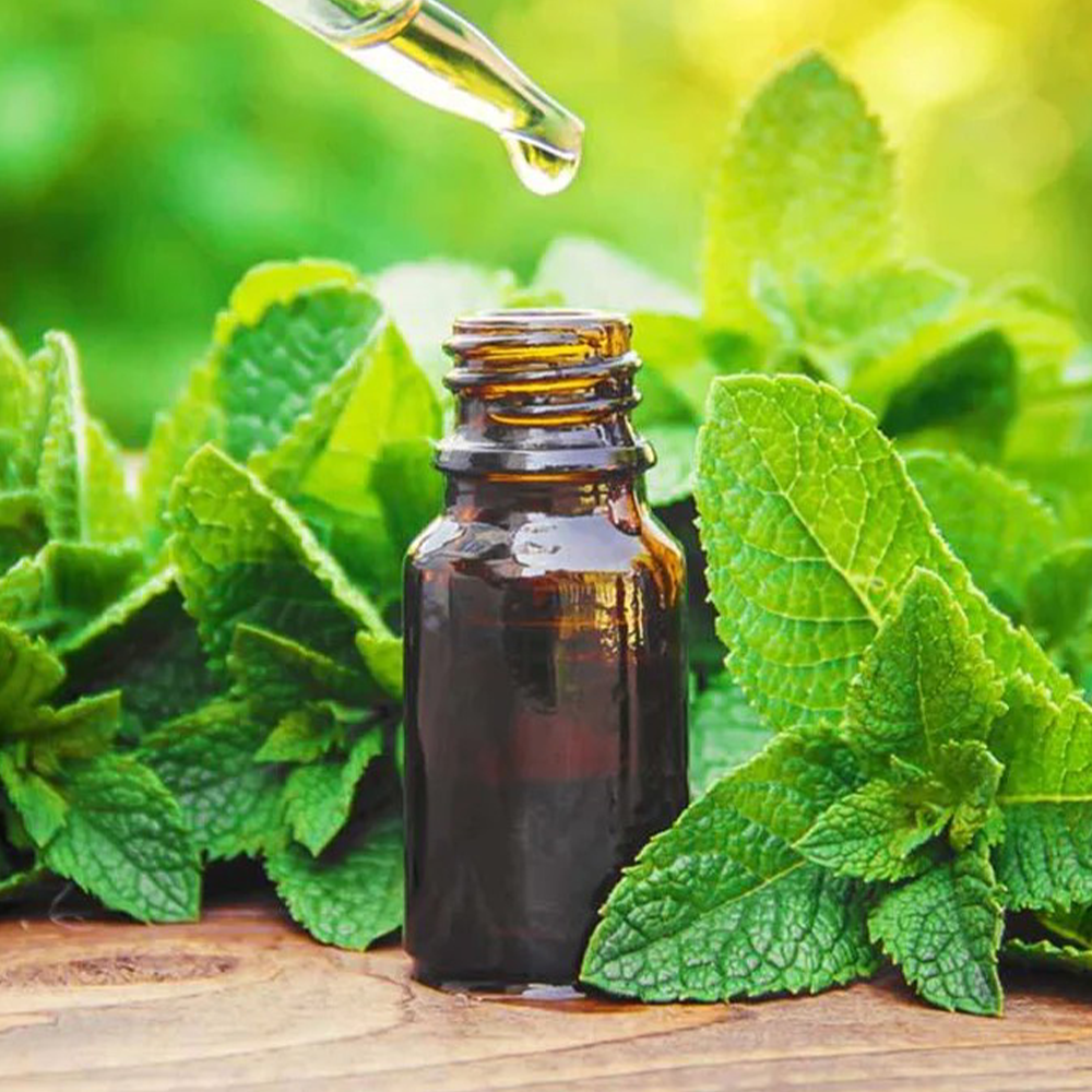 🍃Peppermint Fragrance Oil