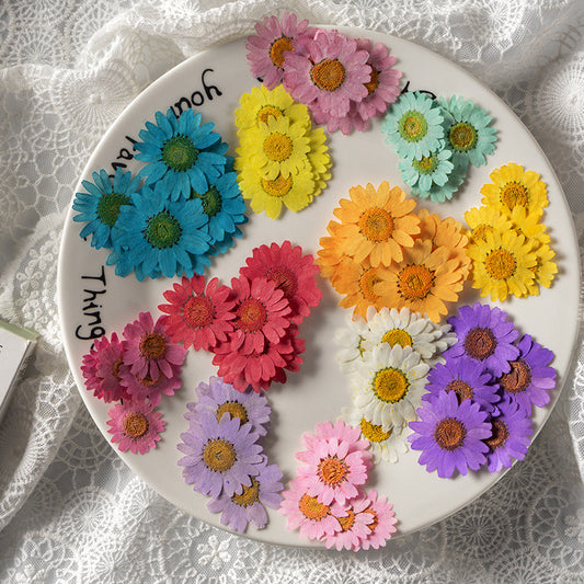Natural Pressed Flower r05