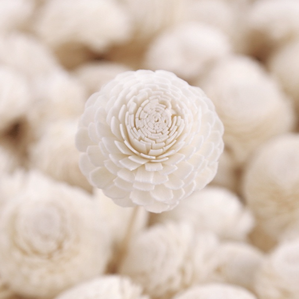 Flower Shaped Reed Diffuser Sticks b015