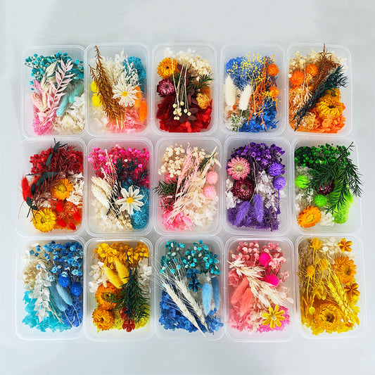 Dried/ Preserved Flowers