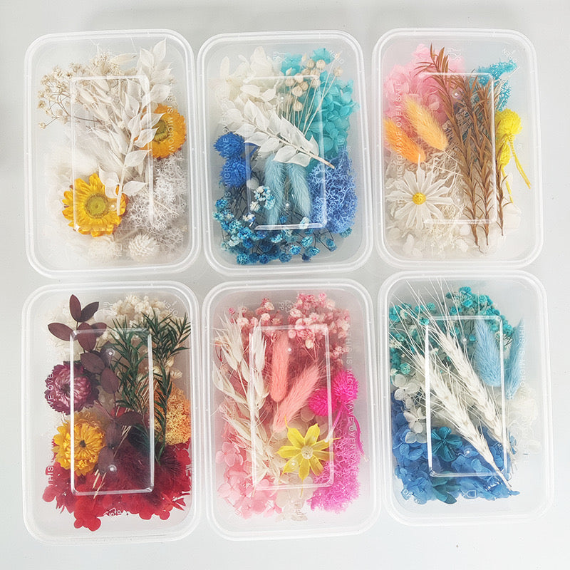 Dried/ Preserved Flowers