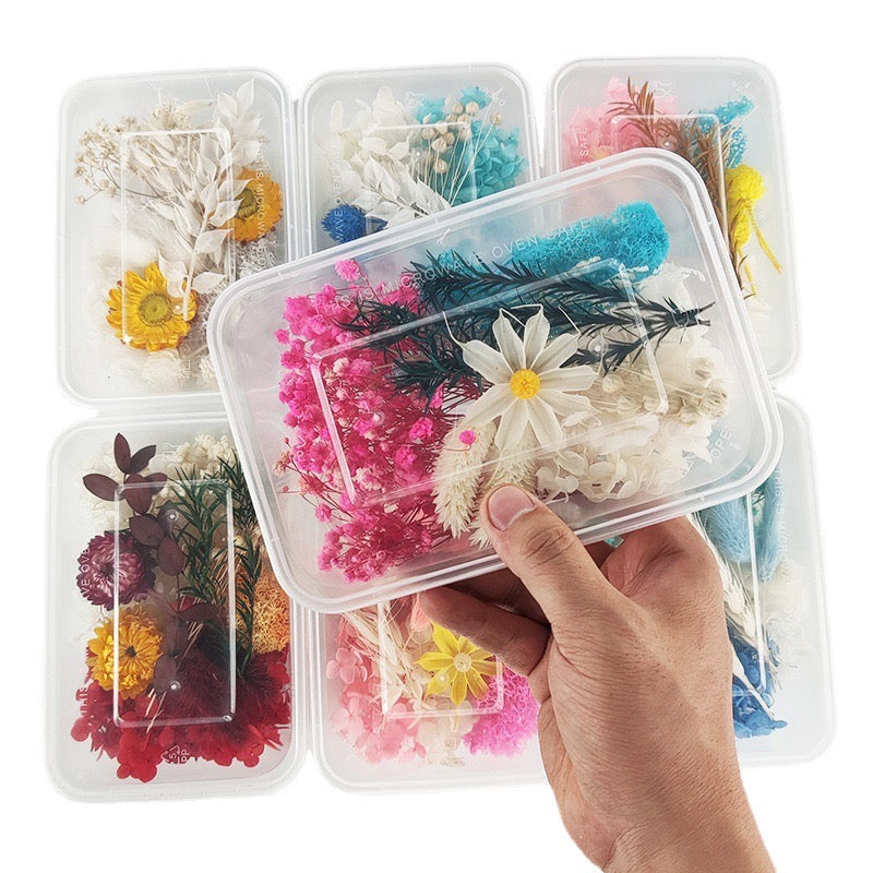 Dried/ Preserved Flowers