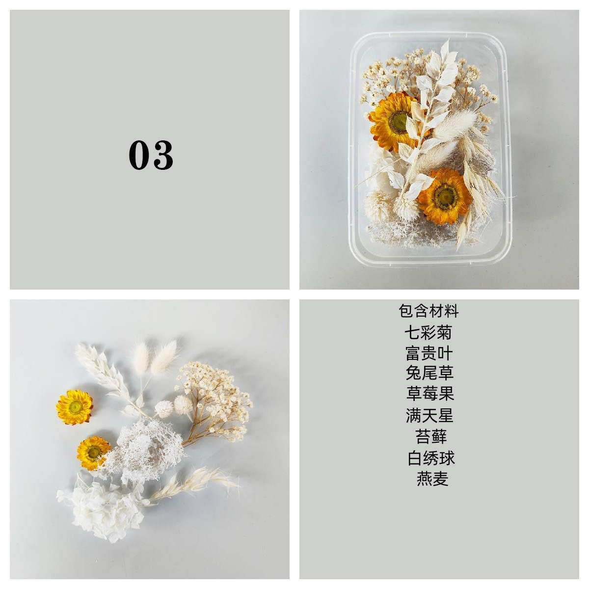 Dried/ Preserved Flowers