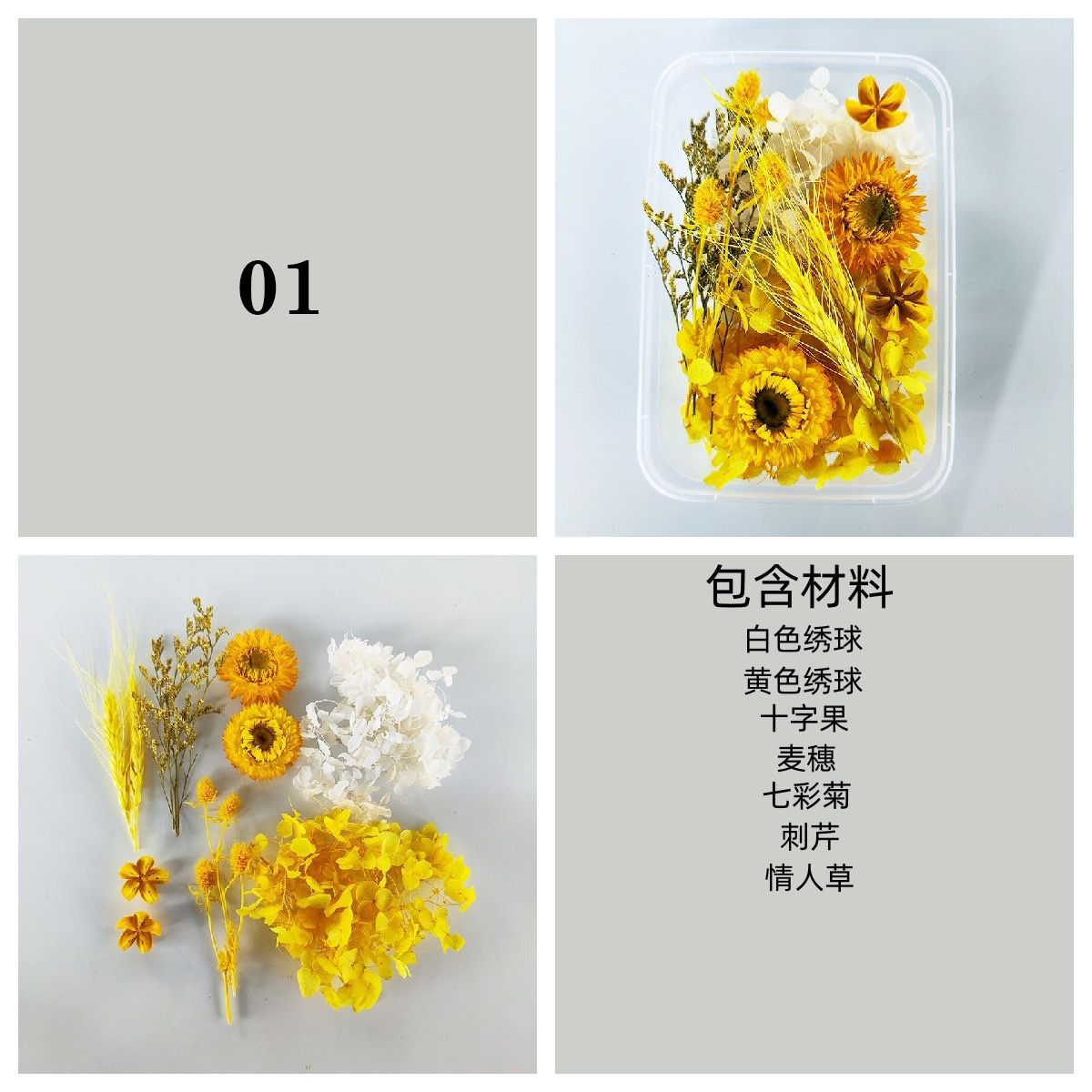 Dried/ Preserved Flowers