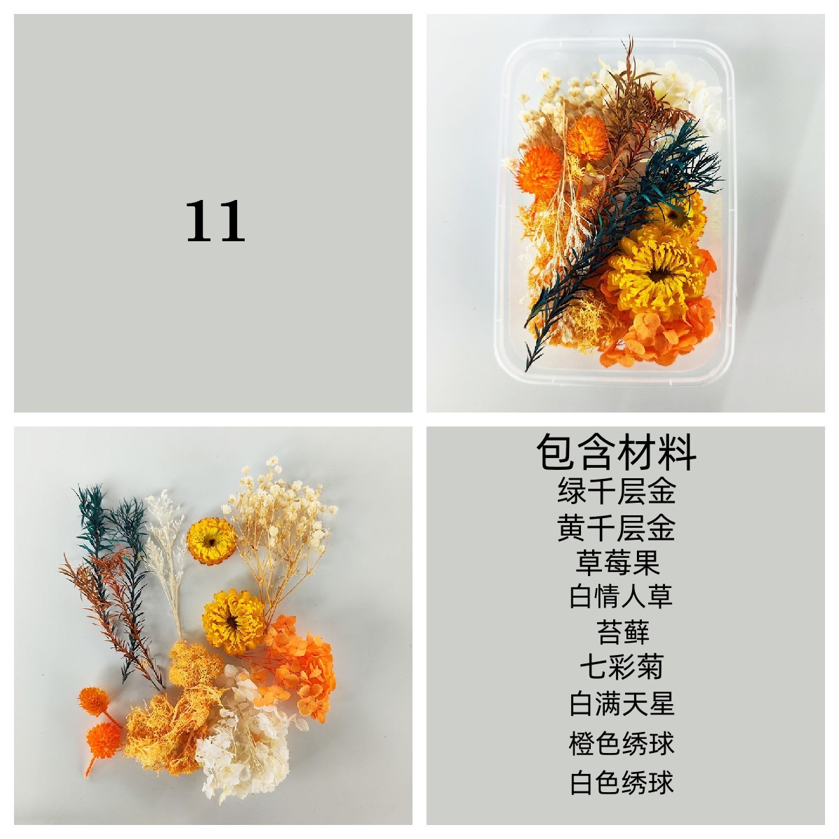 Dried/ Preserved Flowers