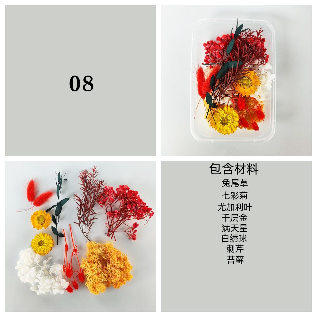 Dried/ Preserved Flowers